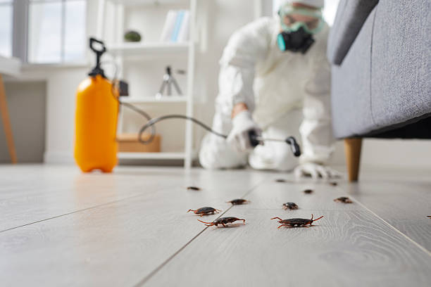 Post-Treatment Bed Bug Interceptor Monitoring in Vincennes