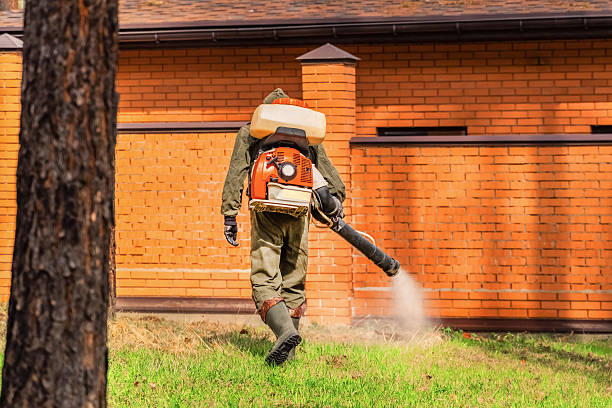 Bed Bug Clearance Verification and Documentation in Vincennes